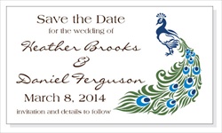 Wedding Peacock Save the Date Magnet